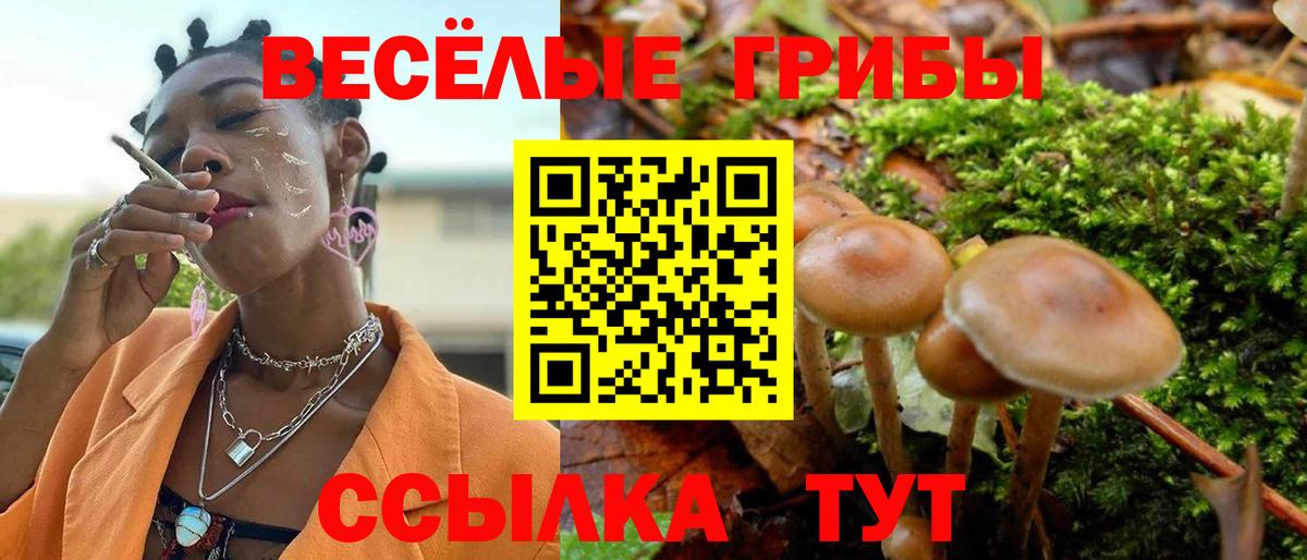 Сарапул  Псилоцибиновые грибы GOLDEN TEACHER  Галлюциногенные грибы Magic Shrooms  Вход с VPN 